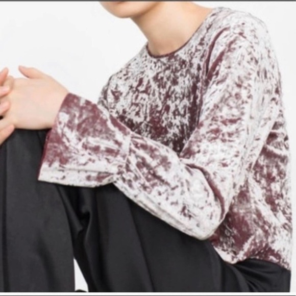 Zara W/B Collection Metallic Red Velvet Crop Top L Large - Picture 1 of 8